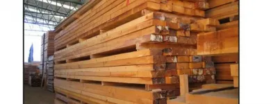 La imagen 5 de la Empresa MADERERA TOTORITA S.A.C. Proveedor de maquinaria de construcción en Lima LAM