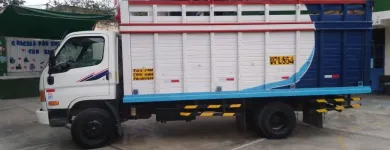 La imagen 3 de la Empresa MUDANZAS ROJAS Servicio de transporte en Lima LAM