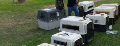 La imagen 3 de la Empresa NEOCAN - K9 - ADIESTRAMIENTO CANINO Tienda para Mascotas en Lima LAM