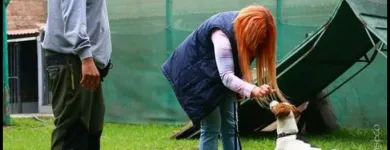 La imagen 4 de la Empresa NEOCAN - K9 - ADIESTRAMIENTO CANINO Tienda para Mascotas en Lima LAM