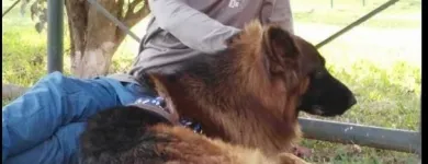 La imagen 5 de la Empresa NEOCAN - K9 - ADIESTRAMIENTO CANINO Tienda para Mascotas en Lima LAM