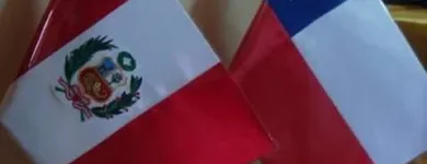 La imagen 4 de la Empresa PALACIO DE LAS BANDERAS Consultor de marketing en Lima LAM