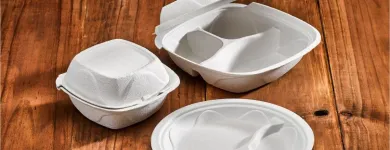 La imagen 4 de la Empresa POLYSTAR PERU SAC Equipos de fabricación en Lima LAM