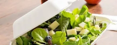 La imagen 6 de la Empresa POLYSTAR PERU SAC Equipos de fabricación en Lima LAM