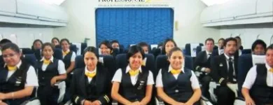 La imagen 2 de la Empresa PROFESSIONAL AIR Universidad en Lima LAM