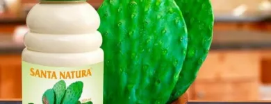 La imagen 2 de la Empresa SANTA NATURA SAN JUAN DE LURIGANCHO Tienda de alimentos naturales en Lima LAM