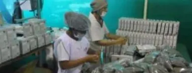La imagen 3 de la Empresa SAPROIND S.A.C Fabricante en Lima LAM