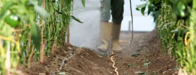 La imagen 2 de la Empresa SUAT FUMIGACION AMBIENTAL SAC Servicio de control de plagas en Lima LAM