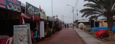 La imagen 4 de la Empresa TRANSPORTES ANDA TOURS SA Centro de información turística en Metropolitana De Lima Perú