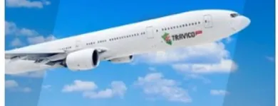 La imagen 5 de la Empresa TRAVICO PERU SAC Servicio de transporte en Lima LAM