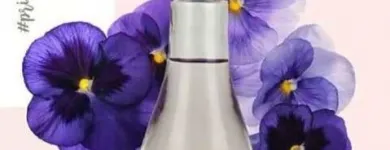 La imagen 5 de la Empresa TU FRANQUICIA-HINODE Tienda de productos cosméticos en Lima LAM