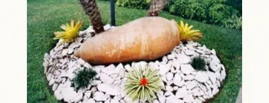 La imagen 2 de la Empresa VIVERO DEL SUR Paisajista en Lima LAM