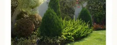 La imagen 3 de la Empresa VIVERO DEL SUR Paisajista en Lima LAM