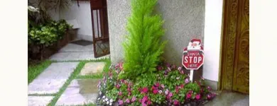 La imagen 4 de la Empresa VIVERO DEL SUR Paisajista en Lima LAM