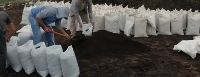 La imagen 2 de la Empresa VIVERO LAS CASCADAS Paisajista en Lima LAM