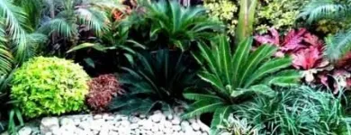 La imagen 4 de la Empresa VIVERO LAS CASCADAS Paisajista en Lima LAM