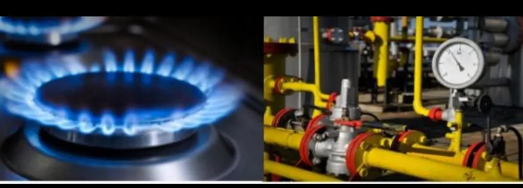 La imagen 3 de la Empresa S&Q PERU SAC