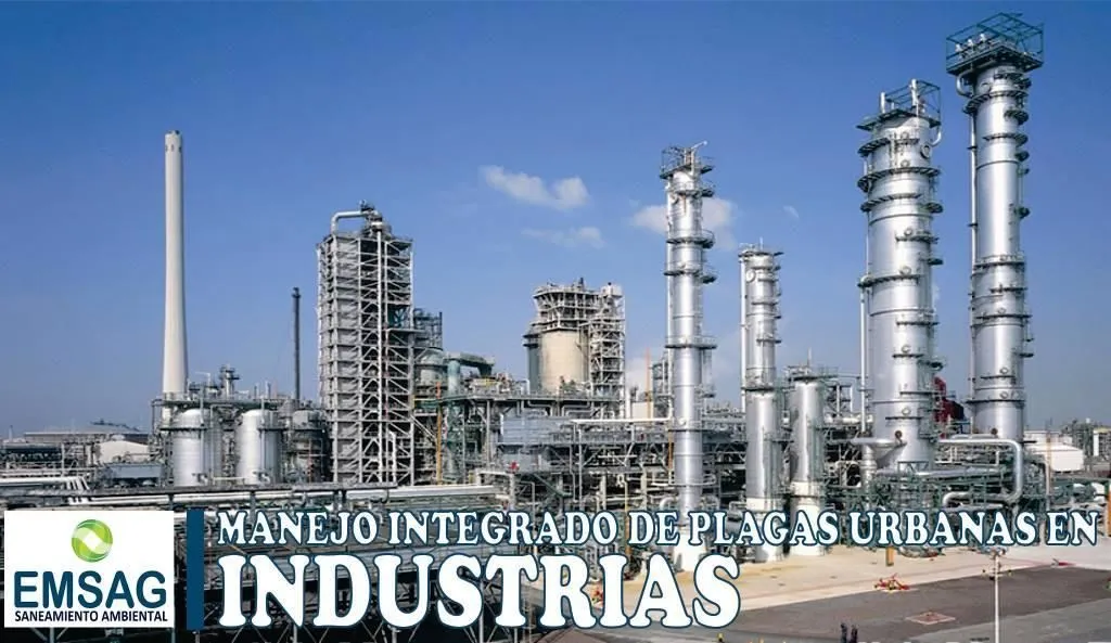 La imagen 7 de la Empresa EMSAG - LIMPIEZA INTEGRAL Y SANEAMIENTO AMBIENTAL