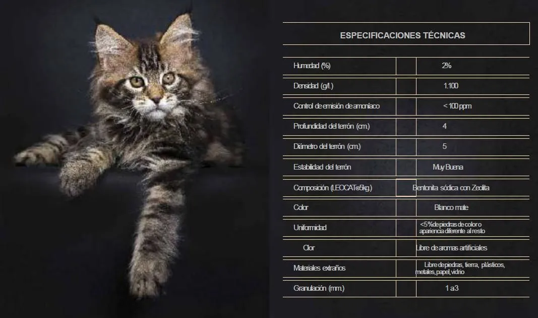 La imagen 1 de la Empresa LEOCAT