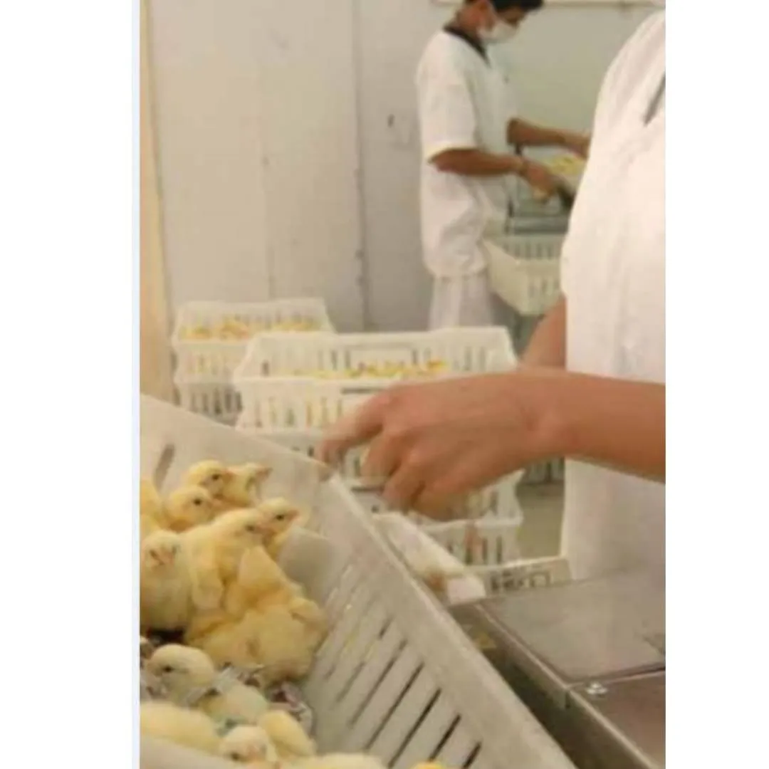 La imagen 1 de la Empresa MAVIR PERÚ