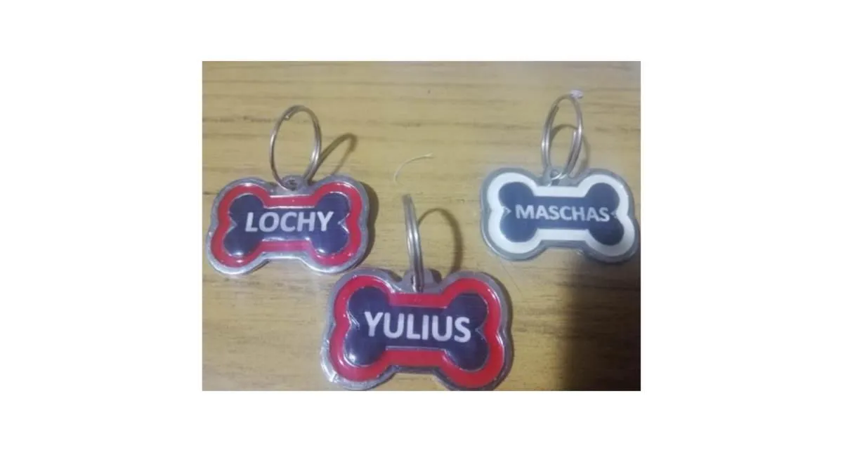 La imagen 2 de la Empresa REGISTRO REGISTRO NACIONAL DE MASCOTAS RENAMAS