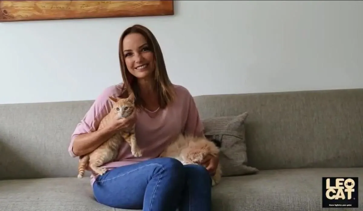 La imagen 3 de la Empresa LEOCAT