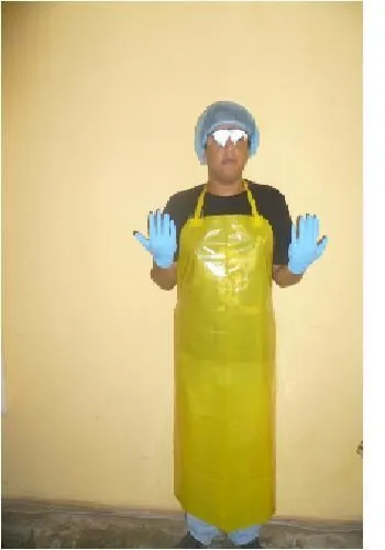 La imagen 2 de la Empresa CLEAN & PROFESSIONAL SERVICES SAC