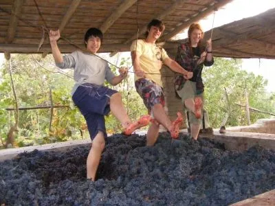 La imagen 8 de la Empresa CANDELA TOURS PERU