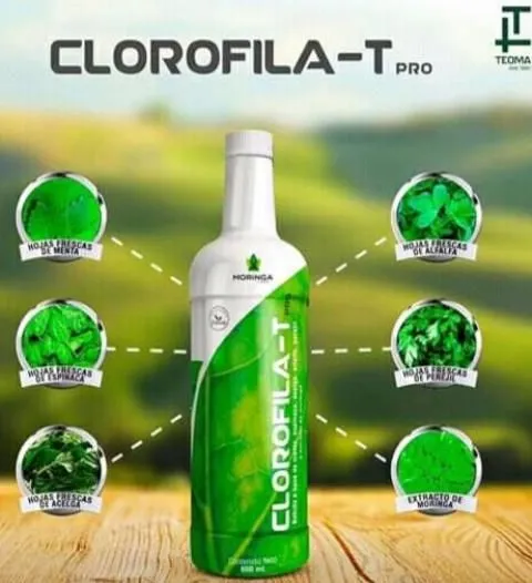 La imagen 4 de la Empresa SALUDABLEMENTE TEOMA