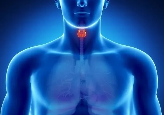 La imagen 3 de la Empresa DRA. OLGA NUÑEZ CHAVEZ - CMP 10884 RNE 5022 - ENDOCRINÓLOGA - ESPECIALISTA EN DIABETES