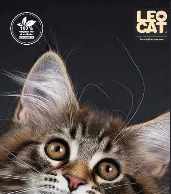 La imagen 2 de la Empresa LEOCAT