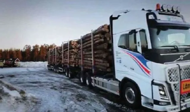 La imagen 5 de la Empresa PABELLONES DEL SUR