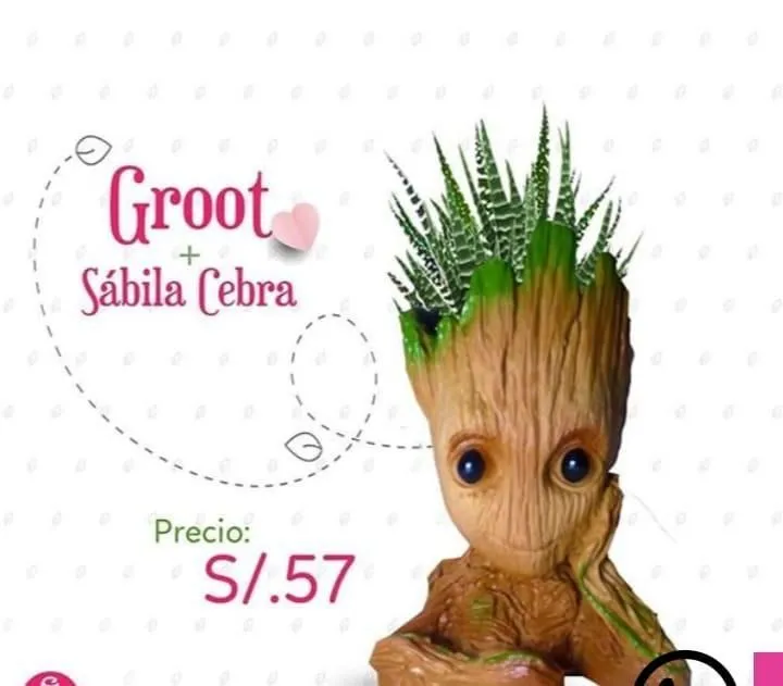La imagen 3 de la Empresa FLORERÍA TAMIFLOR