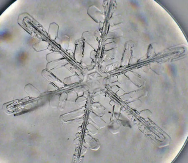 La imagen 4 de la Empresa CLARISSE