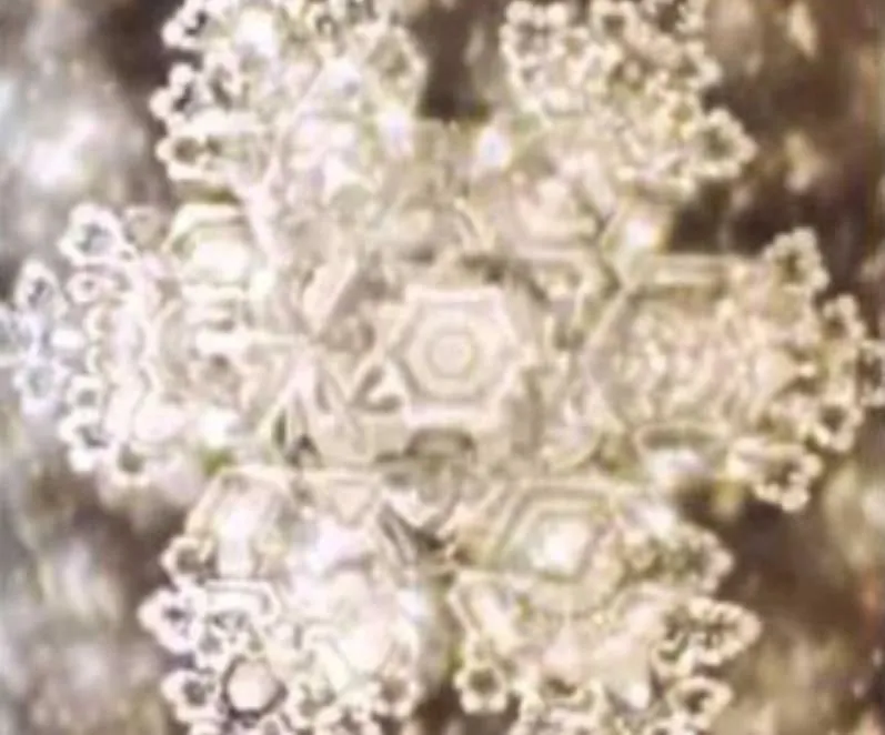 La imagen 2 de la Empresa CLARISSE