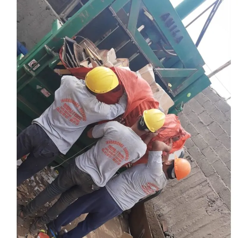 La imagen 3 de la Empresa INVERSIONES GUERRERO LUCAS S.A.C.