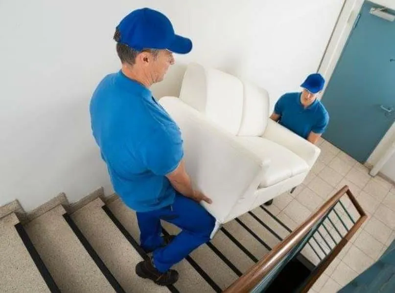 La imagen 4 de la Empresa OPERACIONES COMERCIALES PACÍFICO