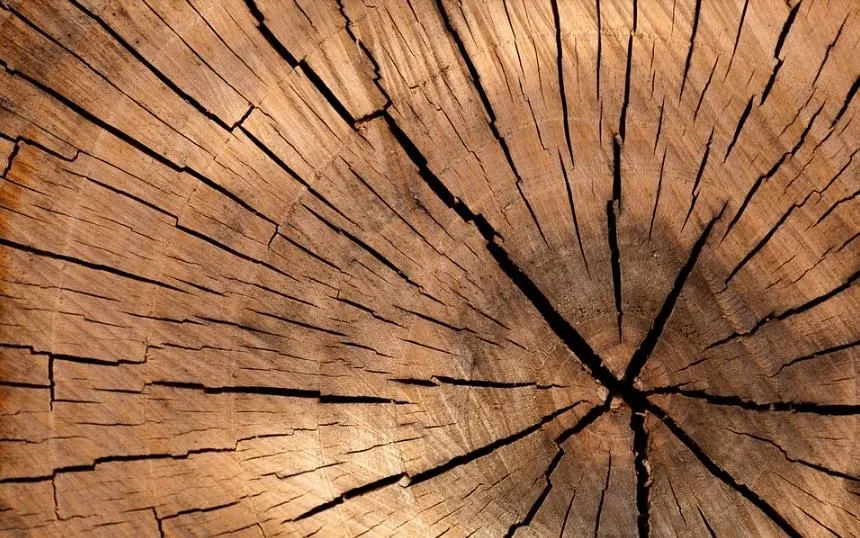 La imagen 4 de la Empresa MADERERA TOTORITA S.A.C.