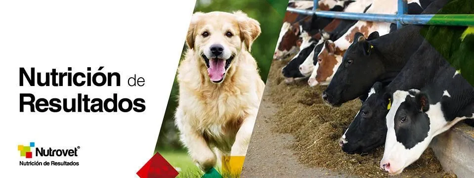 La imagen 4 de la Empresa AGROVET MARKET