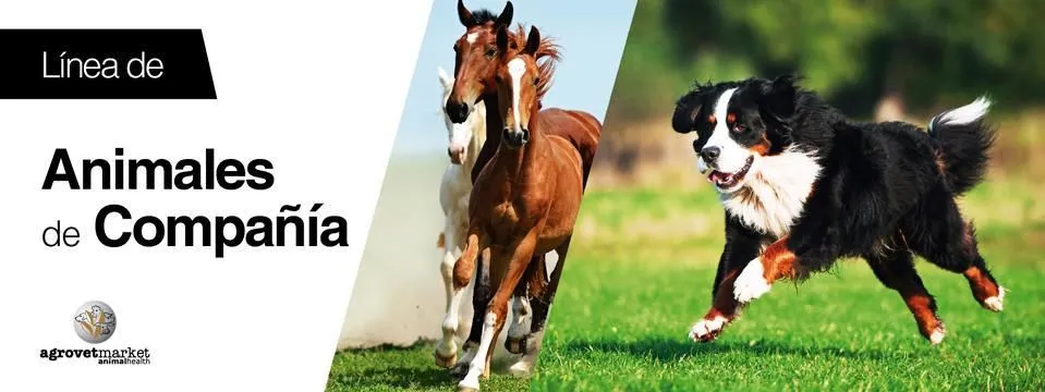 La imagen 6 de la Empresa AGROVET MARKET