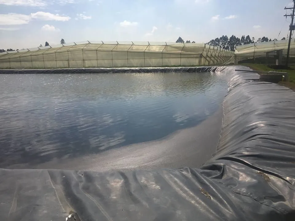 La imagen 6 de la Empresa GEOACE PERÚ