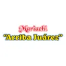 MARIACHI ARRIBA JUÁREZ Recreación en Chiclayo Lambayeque