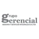 GRUPO GERENCIAL Limpieza Industrial en Lima District LAM
