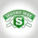 SEGURO MAX Servicio de Seguridad en Lima LAM