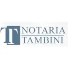 NOTARIA TAMBINI