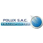SERVICIOS POLUX
