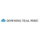DOWNING TEAL DEL PERU S A C