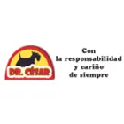 DR. CÉSAR