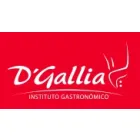 INSTITUTO GASTRONÓMICO D GALLIA